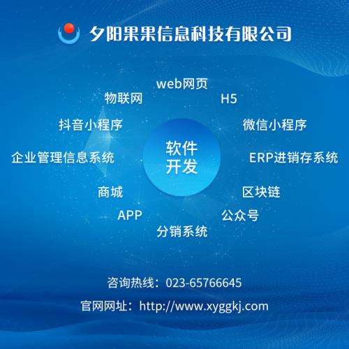 软件开发、app、网站建设、公众号代运营、企业咨询管理